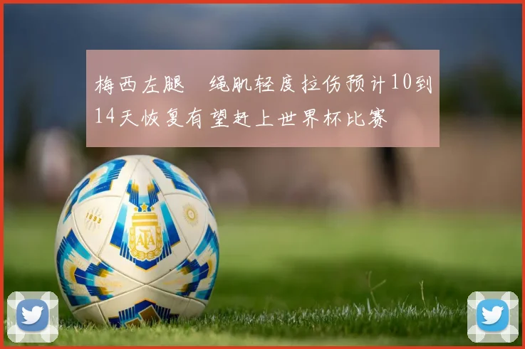 梅西左腿腘绳肌轻度拉伤预计10到14天恢复有望赶上世界杯比赛