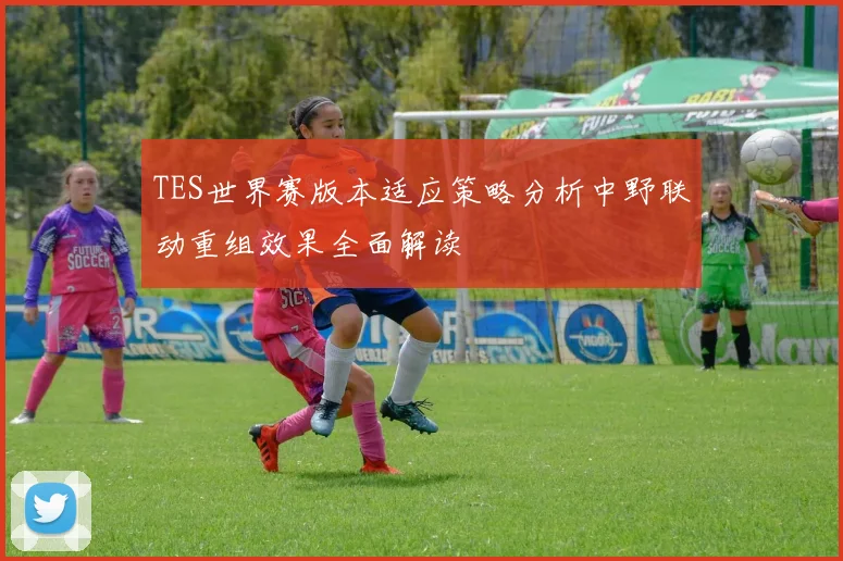 TES世界赛版本适应策略分析中野联动重组效果全面解读